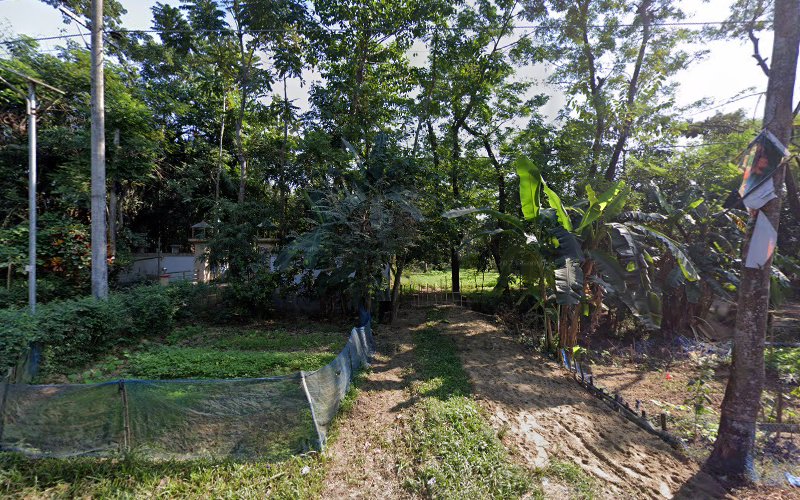 Sumon's house