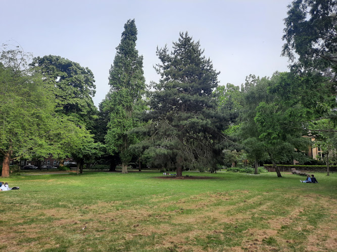 Museum Gardens