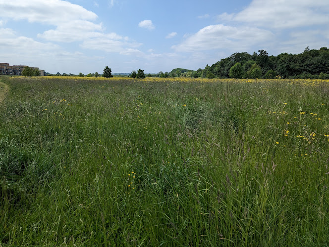 Wildlife Trust BCN - Trumpington Meadows