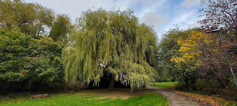 Yeading Brook Open Space