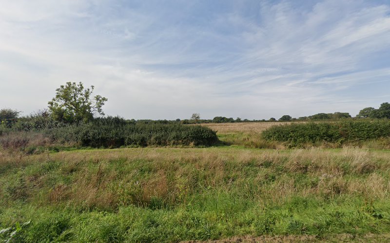 Tadpole Garden Village Nature Park
