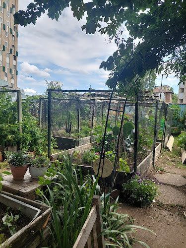 Cranbrook Community Food Garden