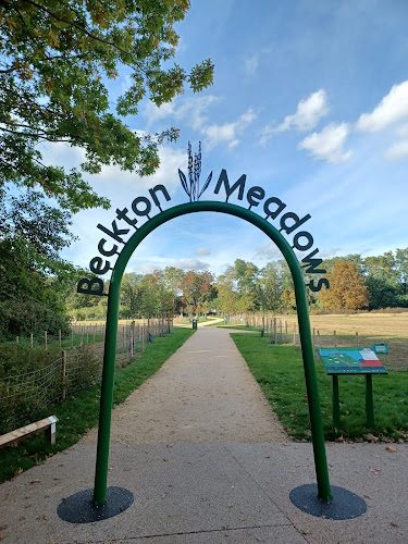 Beckton district park meadow