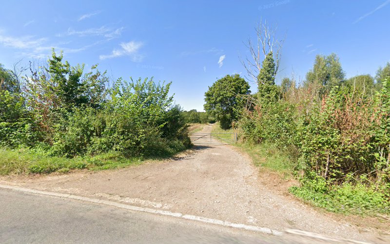Bottoms Corner Wood