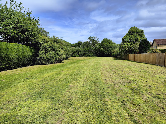 Centenary Copse
