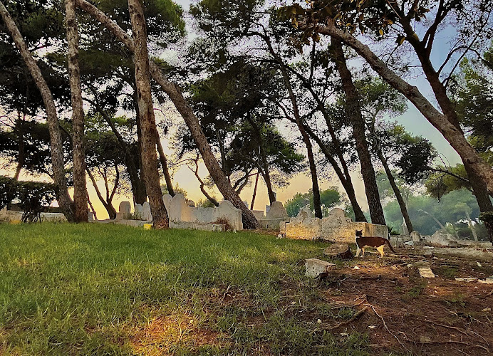 Bouarqia cemetery (مقبرة بوعرقية)