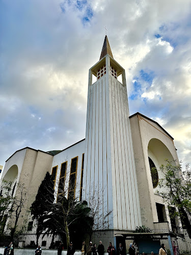Cathedral of the Immaculate Conception