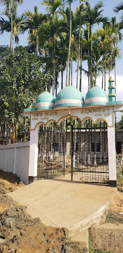 Noyagaon Jame Masjid