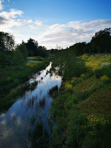 Roding Valley Park