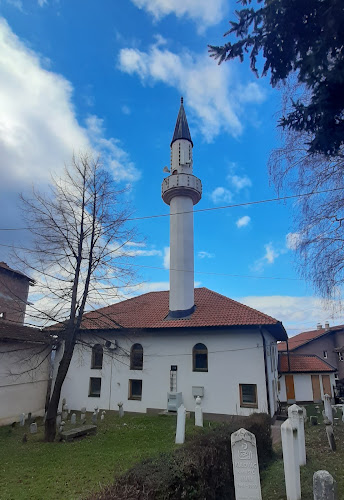 Džamija Pačadži hadži Mustafe Nesuha