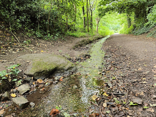 Old Town Railway Path