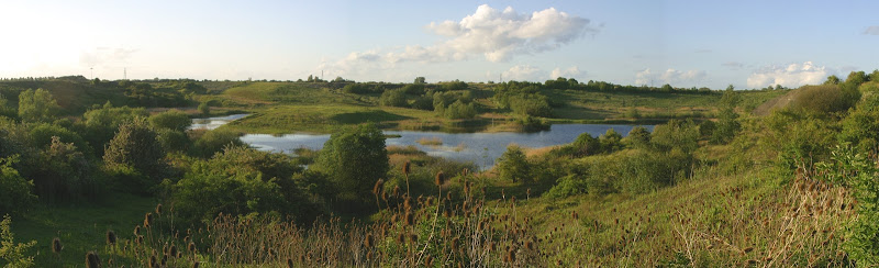 Kings Dyke Nature Reserve (Access via Free Permit)