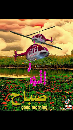 Al-Tawbah Foundation for Traditional Education (مؤسسة التوبة للتعليم العتيق)