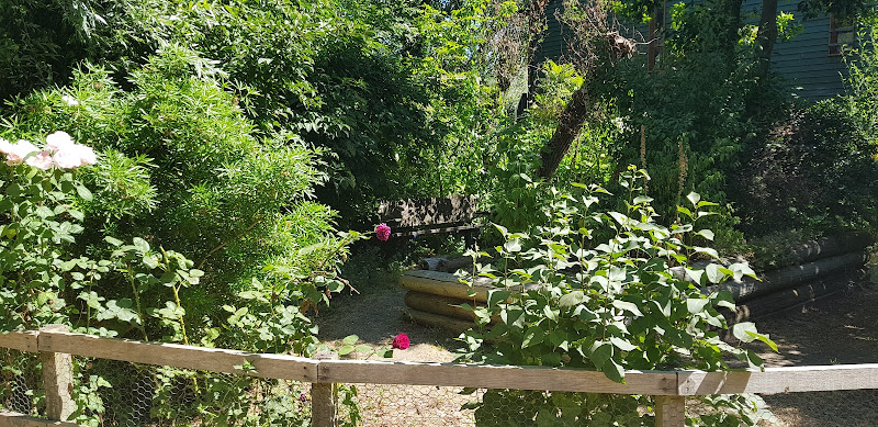 Sensory Garden