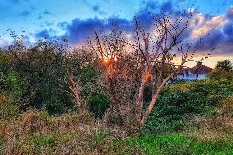 Rock Edge Nature Reserve