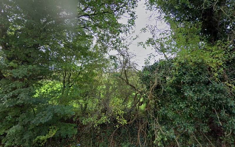 The Meadow Campsite