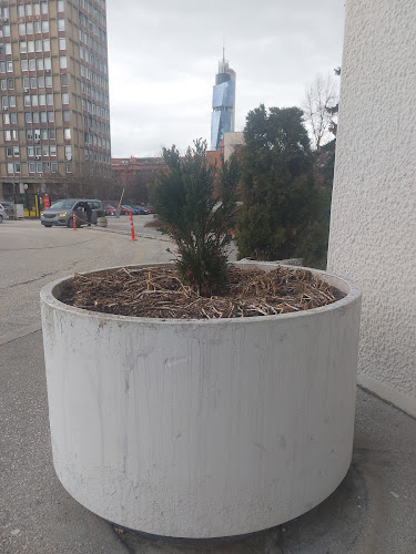 Đoletov žbunić