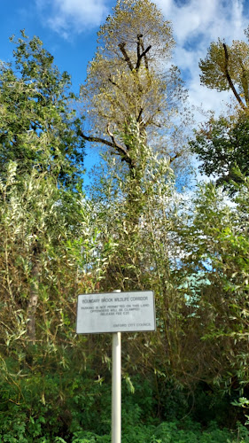 Boundary Brook Wildlife Corridor