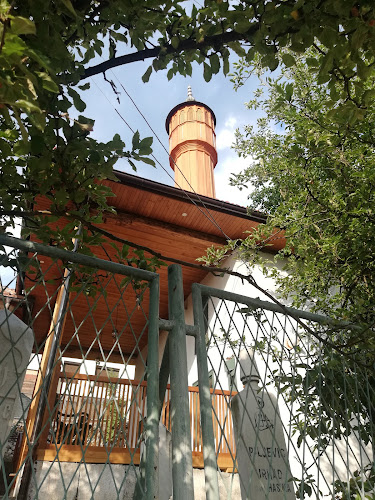 Buzadži hadži Jahjina džamija)