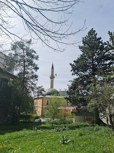 Džamija Jezero