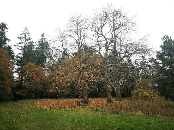Elizabeth Daryush Memorial Garden