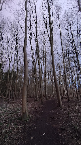 Aston's Eyot