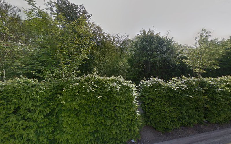 Public Path (between Penzance Drive and Sainsbury’s)
