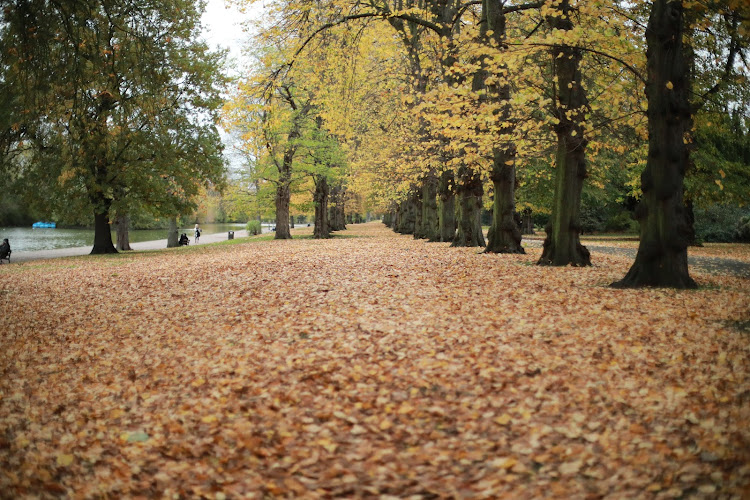 Barking Park