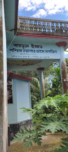Baitul Izzat West Nayagaon Jame Mosque (বায়তুল ইজ্জত পশ্চিম নয়াগাও জামে মসজিদ)