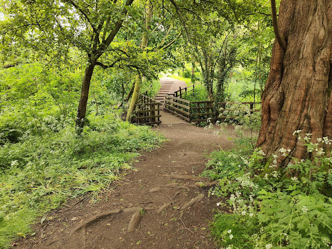 Coate Remembrance Wood