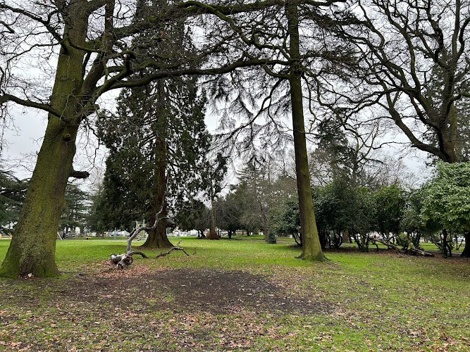 The Cedars Open Space