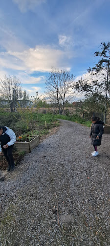 Elaine's Park