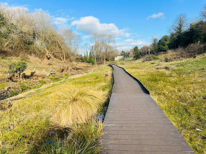 Lye Valley