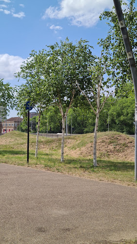 A13 Earthworks Artscape