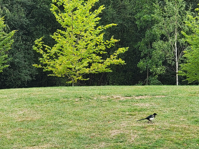 Hatch End Riverside Park