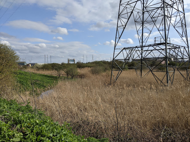 Beckton Creekside Nature Reserve