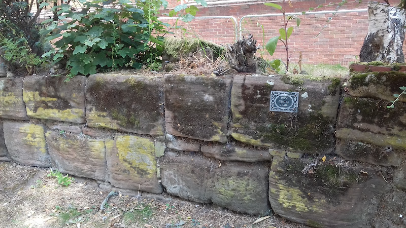 Behind The Salvation Army Lamb Street