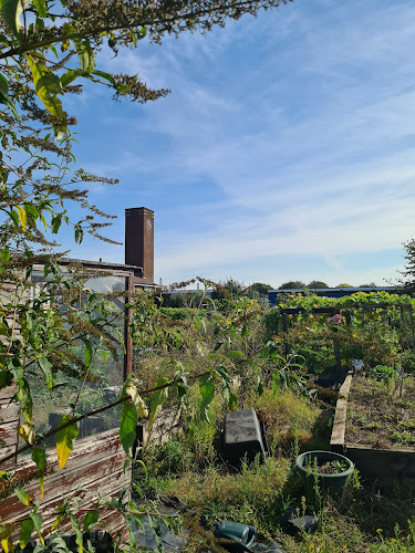 Thames View Community Garden