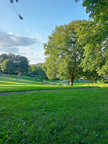 Joy Meadows