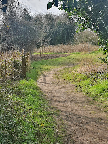 Bramblefields