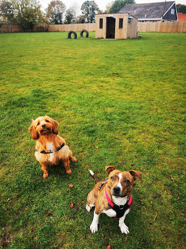 Field of Fun & Freedom