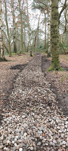 Weald Wood