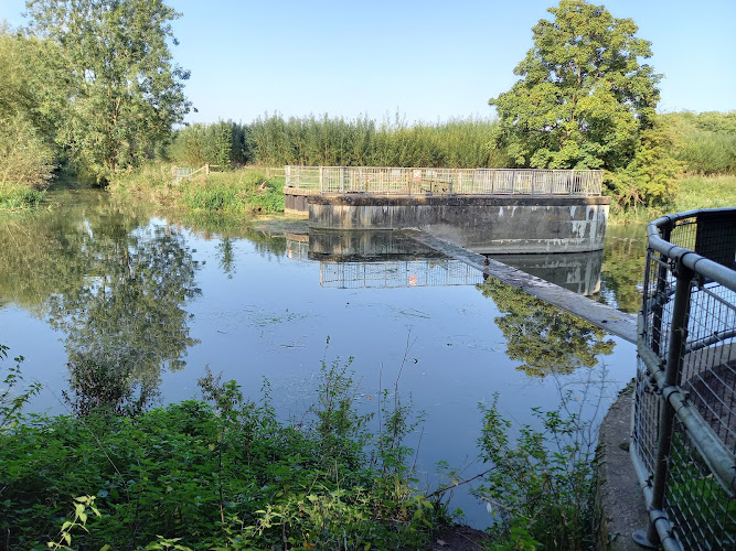 Byron's Pool LNR