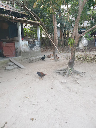 PURBO LAWZARY, KURAR BAZAR,