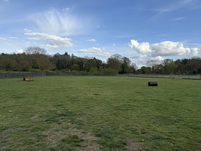 Grantchester Secure Dog Walking Paddock
