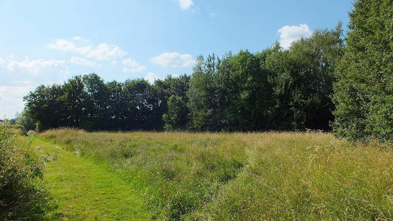 Court Place Farm Nature Park
