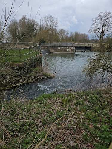 Byron's pool fish pass