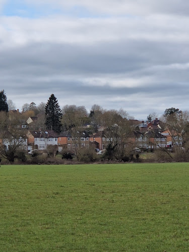 Hinksey Meadows