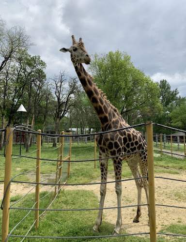 Skopje Zoo