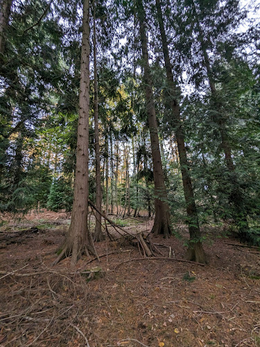 Parking bagley wood